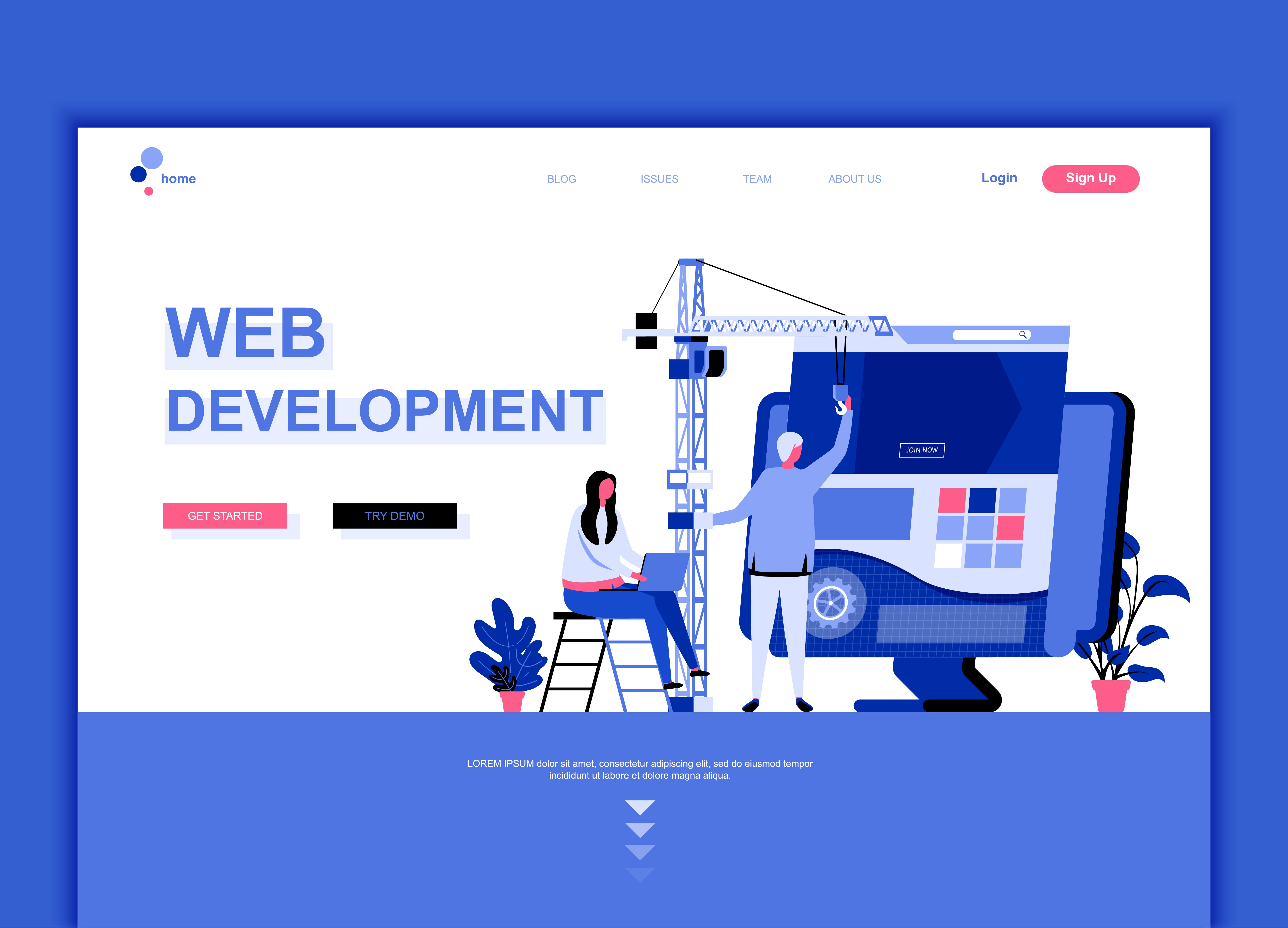 Website Development
