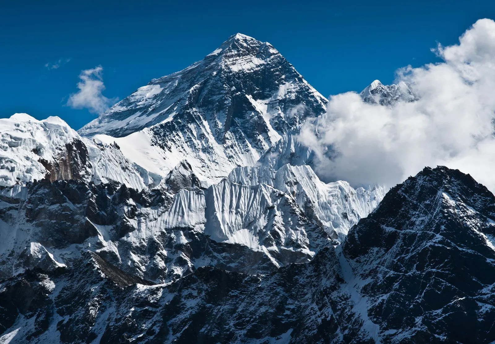 Himalayan Alpha Trekking Experience